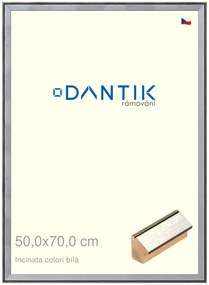 DANTIK rám na obraz 50x70 | INCLINATA colori Bílá (Plexi Čiré)
