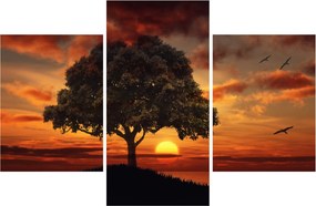 Obraz stromu pri západe slnka (90x60 cm)