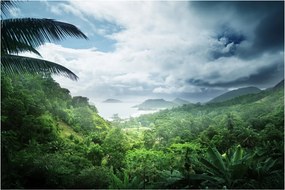 Obraz - Seychelská jungle (90x60 cm)