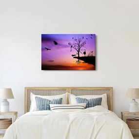Obraz - Siluety zvierat (90x60 cm)
