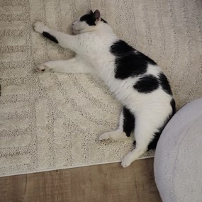 Ayyildiz, Kusový koberec Art 1121 Cream, 240x340, béžová, obývacia izba