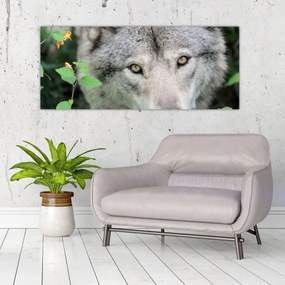 Obraz - Portrét vlka (120x50 cm)