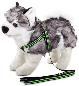Postroj pre psa s vodítkom 125x1.5cm - reflexný | zelený