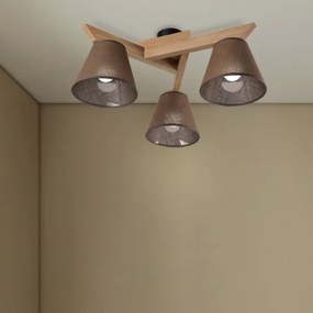Brilagi - LED  Prisadený luster ANTHONY 3xE14/40W/230V dub/hnedá