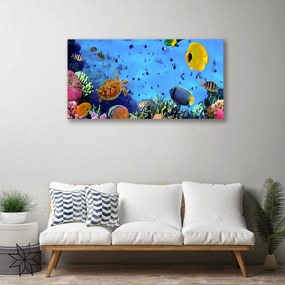 Obraz na plátne Koralový útes ryba príroda 140x70 cm