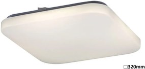 Rabalux LED stropné svietidlo Rob 1x32W | 2600lm | 4000K - biela