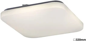Rabalux LED stropné svietidlo Rob 1x32W | 2600lm | 4000K - biela