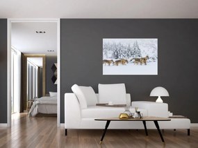 Obraz - Vlci v horách (90x60 cm)