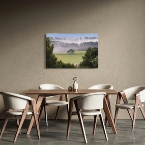 Obraz lúky so stromom (90x60 cm)