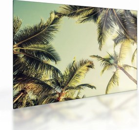 Sklenený obraz s kokosovými palmami (70x50 cm)