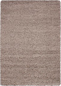 DOPREDAJ: 60x110 cm Kusový koberec Dream Shaggy 4000 beige, 60x110, béžová, spálňa, Ayyildiz