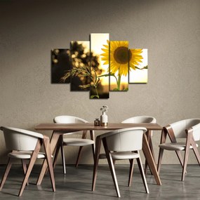 Obraz slnečnice (150x105 cm)