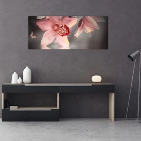 Obraz - Kvety a motýľ (120x50 cm)