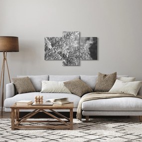 Obraz - Smrekový les (90x60 cm)