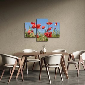 Obraz - Vlčie maky (90x60 cm)