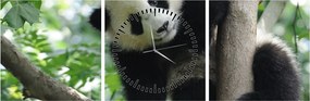 Obraz - Panda na strome (s hodinami) (90x30 cm)