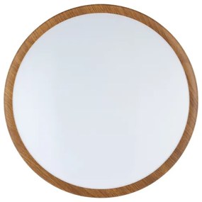 Eglo 98601 - LED Stropné svietidlo MUSURITA LED/14,6W/230V