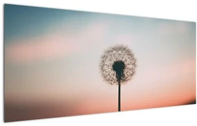 Obraz - Držím ťa, púpava (120x50 cm)
