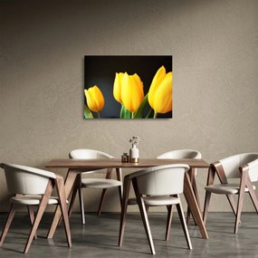 Sklenený obraz tulipánov (70x50 cm)