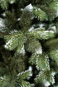 Limpol Vianočný stromček borovica Lamia 120 cm