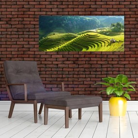 Obraz - Koncert ryžových terás (120x50 cm)
