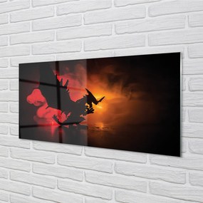 Obraz plexi Čierny drak mraky 100x50 cm