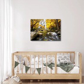 Sklenený obraz - Vodopády v jesennej krajine, žlté (70x50 cm)