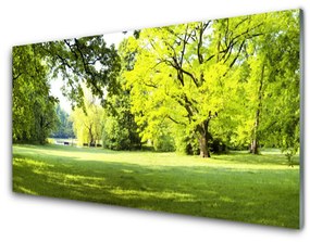 Skleneny obraz Tráva stromy park príroda 125x50 cm