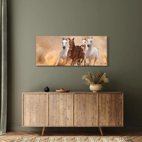 Obraz - Stádo koní (120x50 cm)