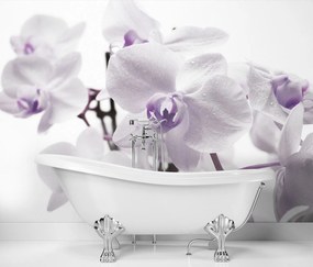 Gario Fototapeta Kvitnúca orchidea Materiál: Vliesová, Rozmery: 150 x 105 cm