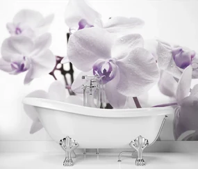 Gario Fototapeta Kvitnúca orchidea Materiál: Vliesová, Rozmery: 150 x 105 cm