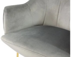 Čalúnené kreslo Anima, Dostupné poťahy: Magic Velvet 2206