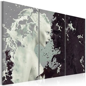 Artgeist Obraz - Black or white? - triptych Veľkosť: 120x80, Verzia: Na talianskom plátne