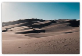 Obraz - Z púšte (90x60 cm)