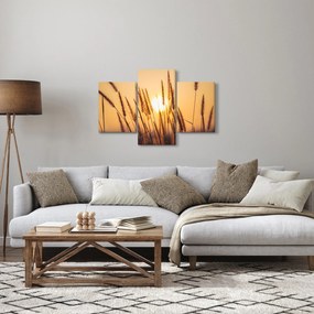 Obraz - Traviny na slnku (90x60 cm)
