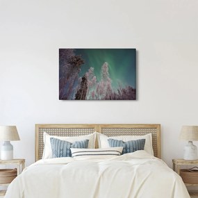 Obraz polárna žiara nad zamrznutými stromami (90x60 cm)