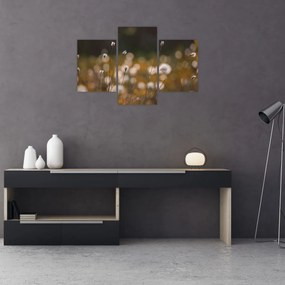 Obraz - Lúka s cottongrass N⁰2 (90x60 cm)