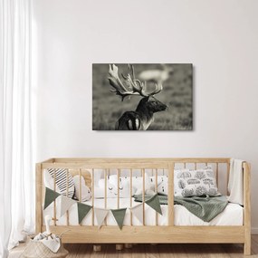 Obraz - Jeleň (90x60 cm)