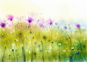 Sklenený obraz - Lúčne kvety (70x50 cm)