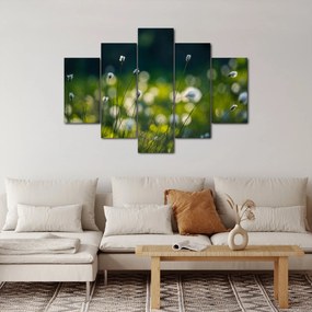 Obraz - Tráva (150x105 cm)