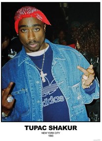 Plagát, Obraz - Tupac Shakur - N.Y.C 1993