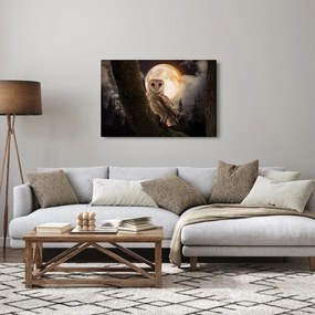 Obraz sovy (90x60 cm)