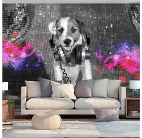 Artgeist Fototapeta - DJ Dog Veľkosť: 100x70, Verzia: Premium