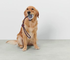 Hádzacia hračka pre psy