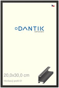 DANTIK rám na obraz 20x30 | ALU Černá matná (Sklo Čiré)