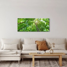 Obraz - Les (120x50 cm)