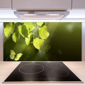 Sklenený obklad Do kuchyne Listy slnko lúče 120x60 cm
