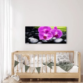 Obraz - Orchidey (120x50 cm)