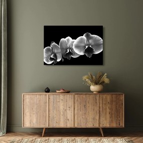 Obraz kvetu orchidey (90x60 cm)