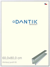 DANTIK rám na obraz 60x80 | ALU Stříbrná matná (Plexi Čiré)